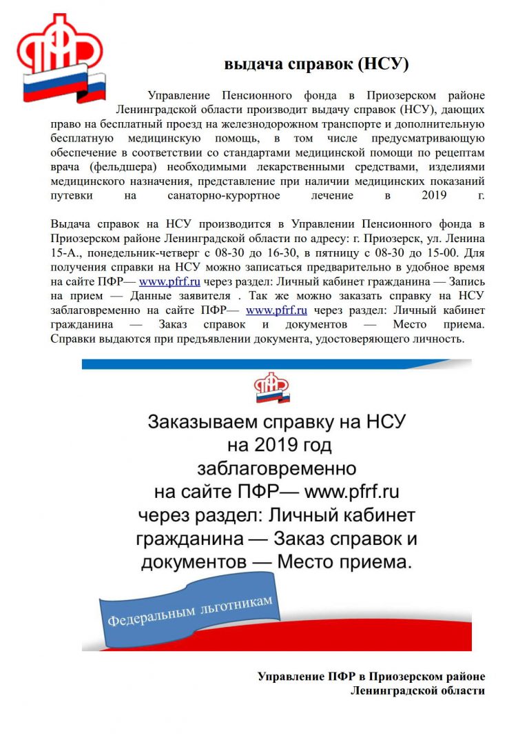 Как выглядит справка нсу